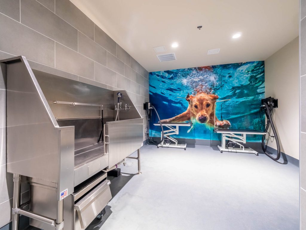 Stainless steel dog wash and adjustable height grooming stations with a wall mural of a swimming dog.