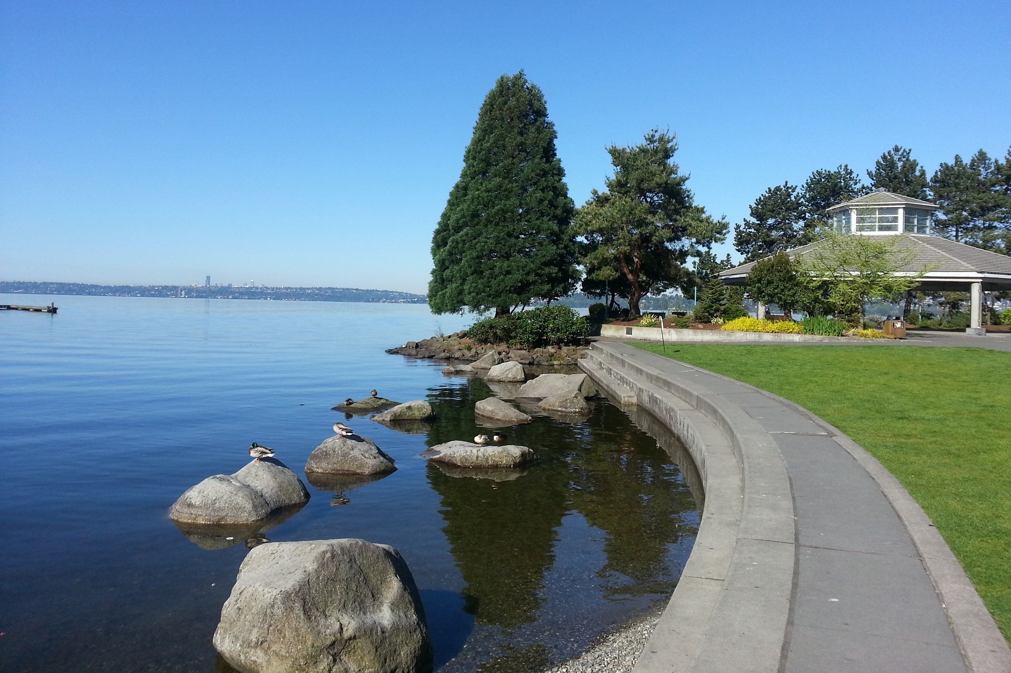 riverside view of Park Kirkland with rocks, seagulls, and trees