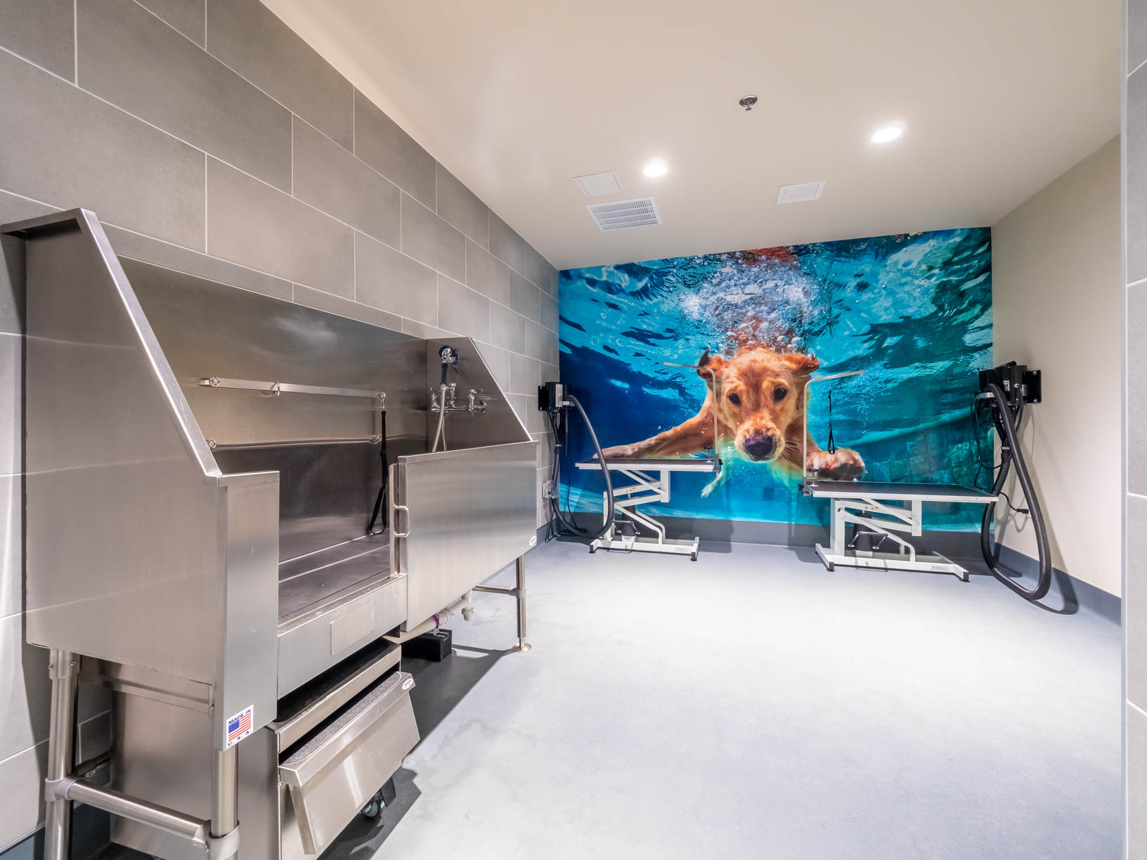 Dog wash station